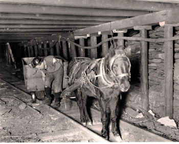 Pit pony off the rails